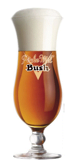 Bush bierglas Peche