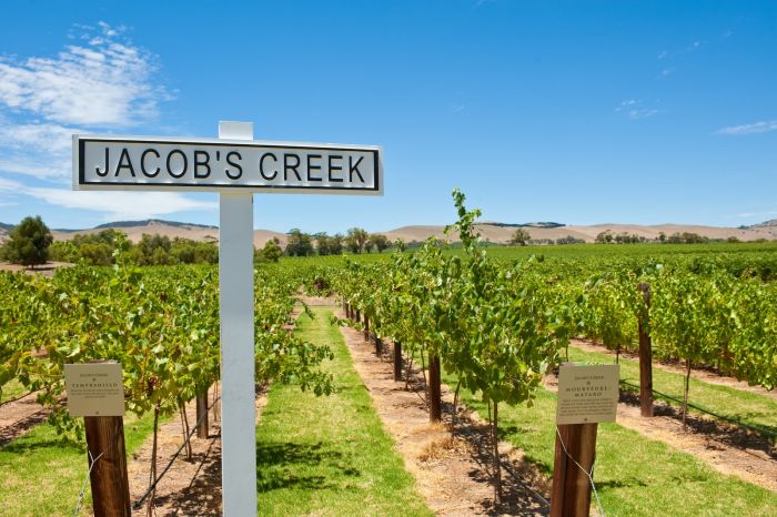 Jacobs Creek Chardonnay